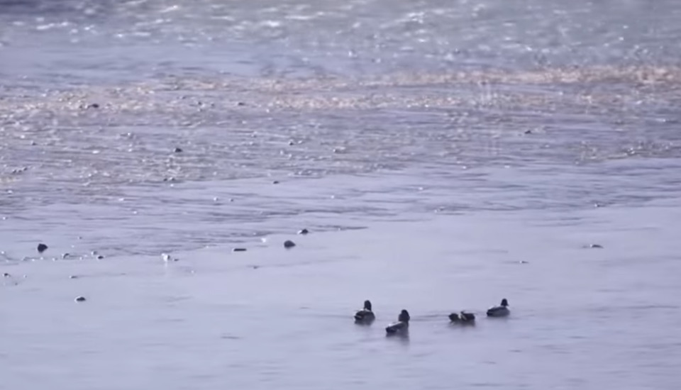 image de la mer au naturel